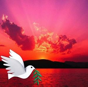 Meet your Posher, Joyce a